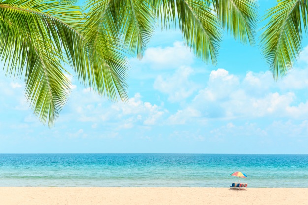 Overseas Vacation